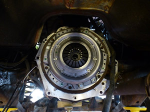 Hamiltons transmission experts